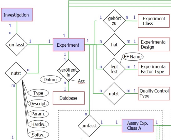 Excerpt of the entity–relationship diagram of the database structure