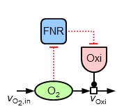 Regulated oxidase structure in the electron transport chain